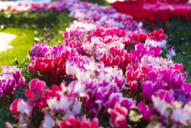 造園・庭づくり