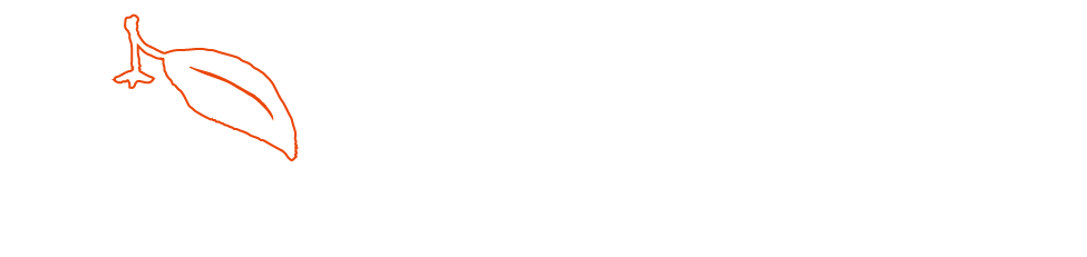 BEAUTY SALON SOL | 丸玉みかん