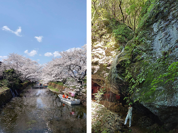 四季を感じる、里山の自然と風景