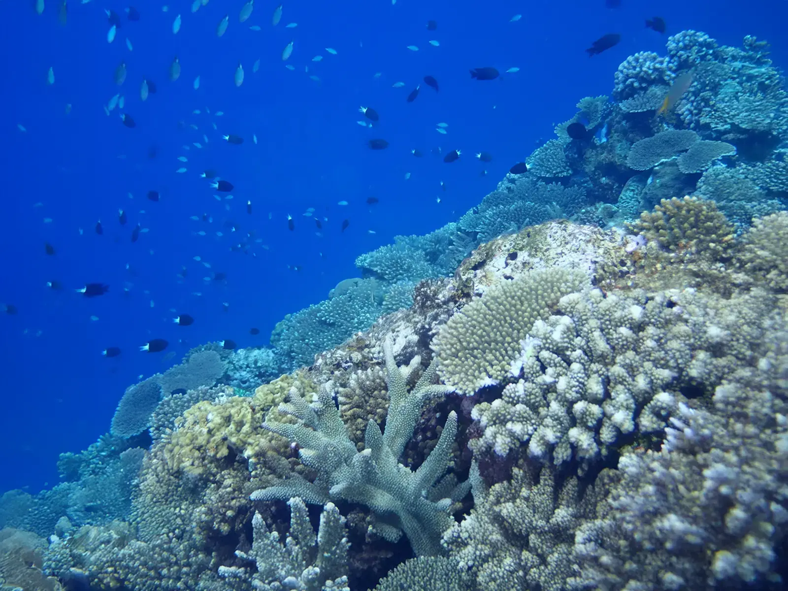 株式会社 うるま不動産イメージ画像