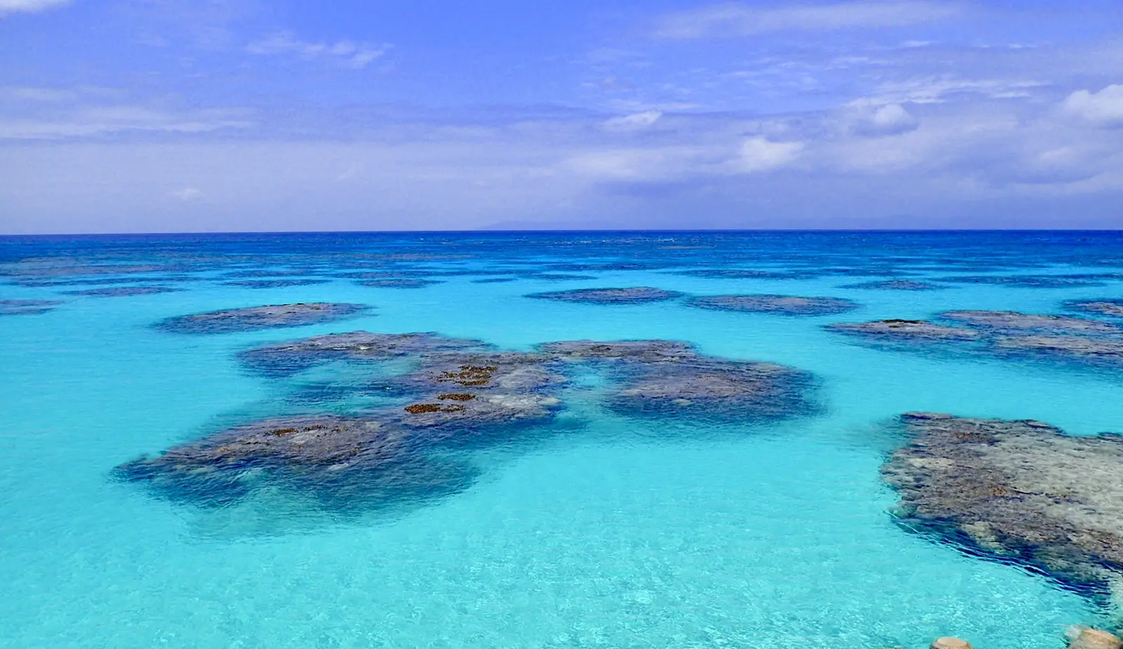 株式会社 うるま不動産イメージ画像