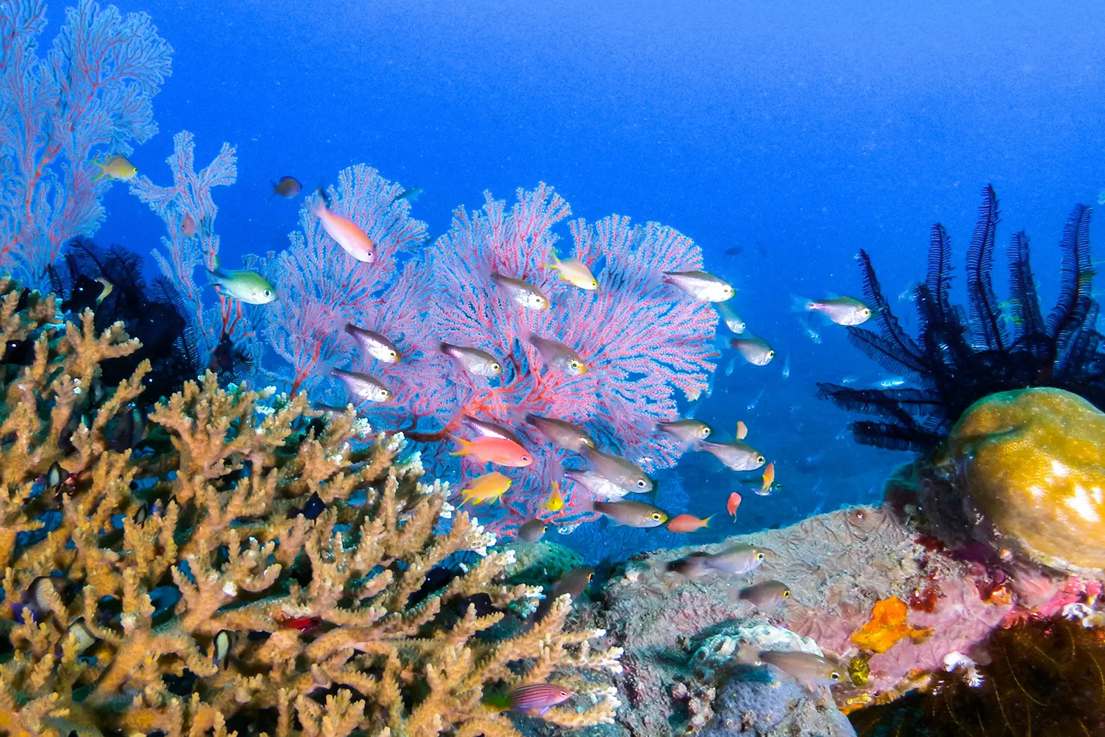 株式会社 うるま不動産イメージ画像