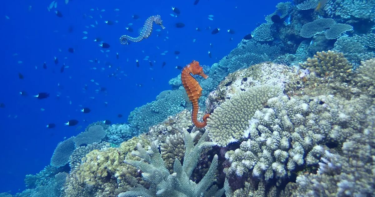 株式会社 うるま不動産イメージ画像