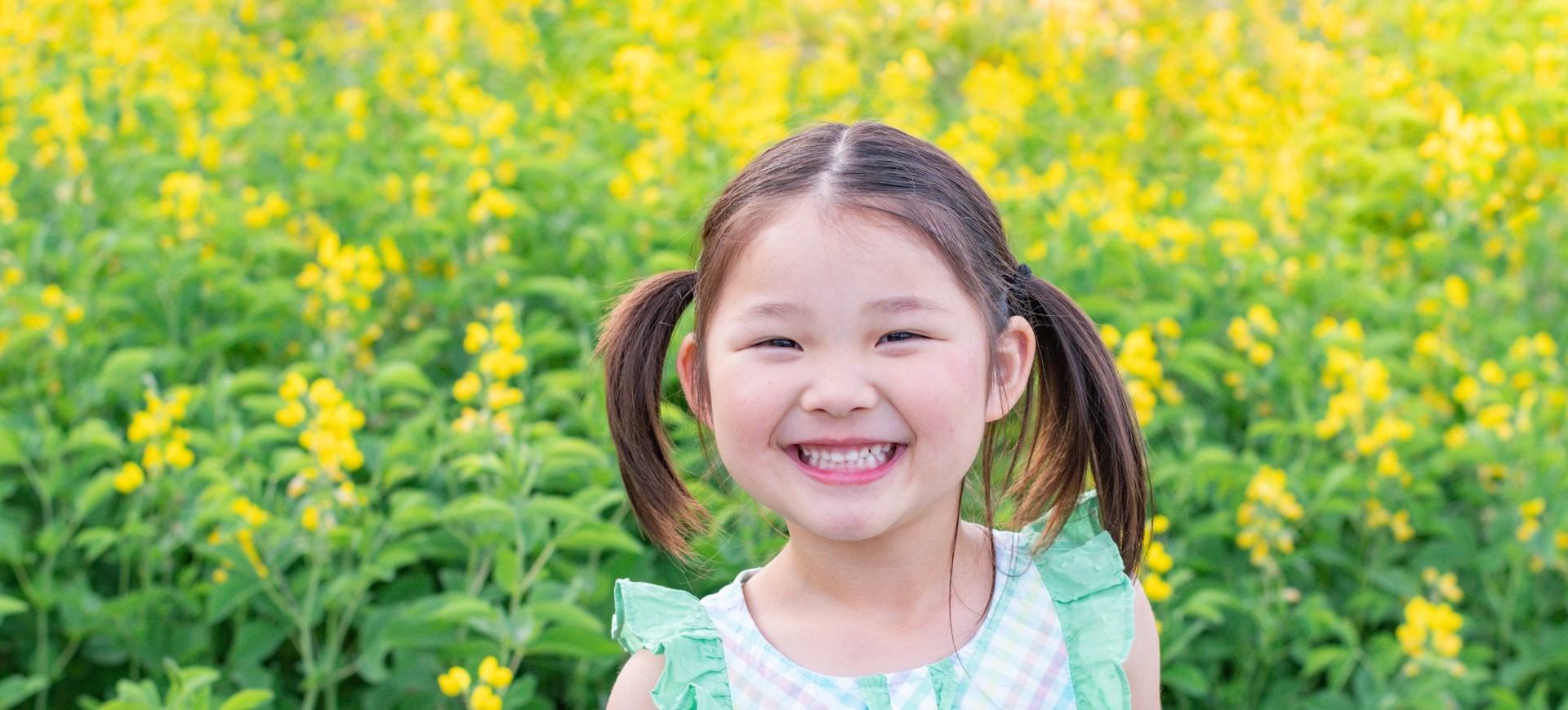 モンテッソーリ教育法とは