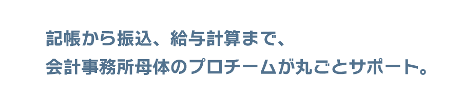 記帳から振込、給与計算まで。会計事務母体のプロチームがまるごとサポート
