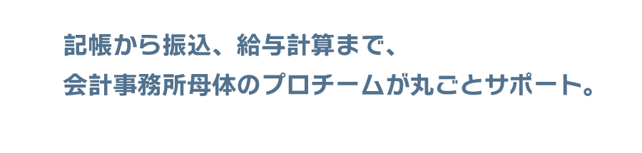 記帳から振込、給与計算まで。会計事務母体のプロチームがまるごとサポート