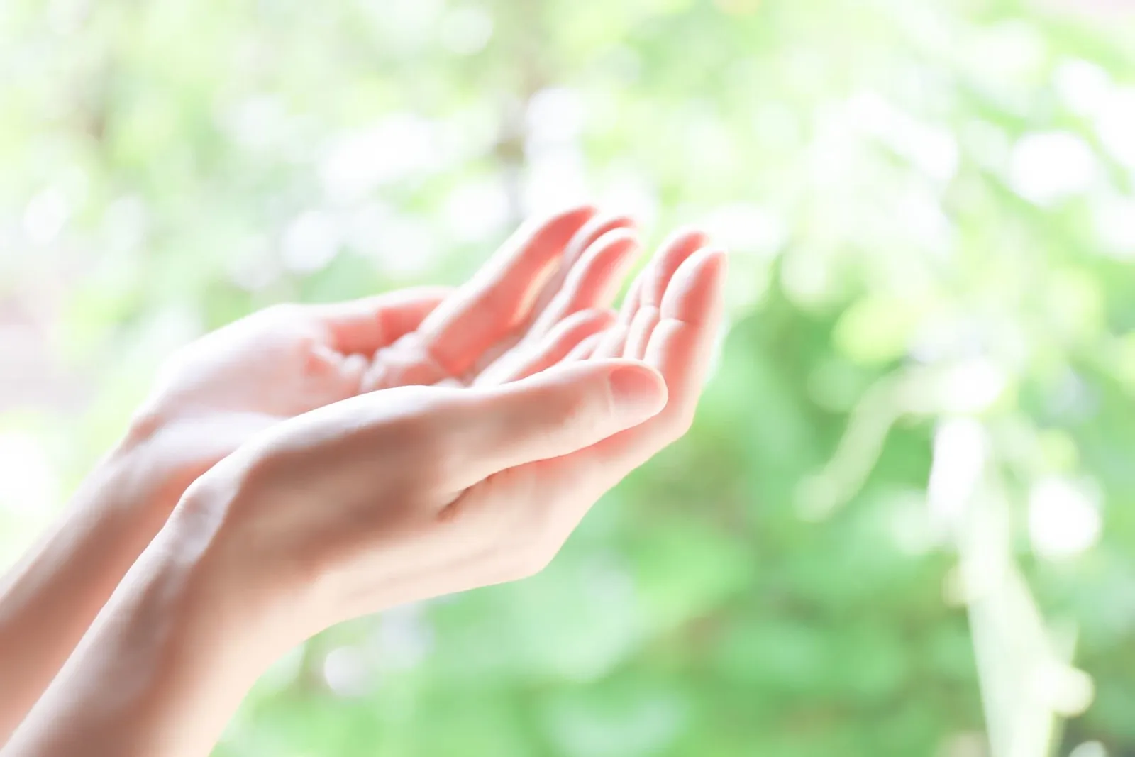 合同会社Accompany　相談支援事業所 サービスプラン沖縄イメージ画像