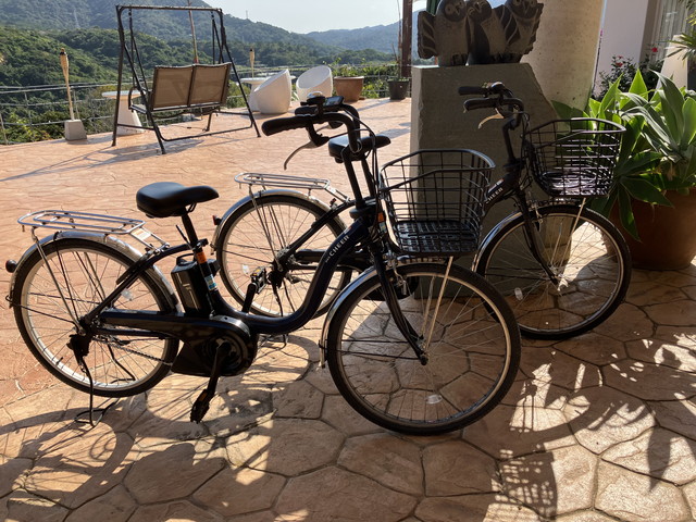 早朝サイクリング