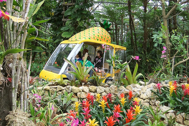 ナゴパイナップルパーク