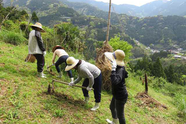 季節ごとに変わる、体験と楽しみ