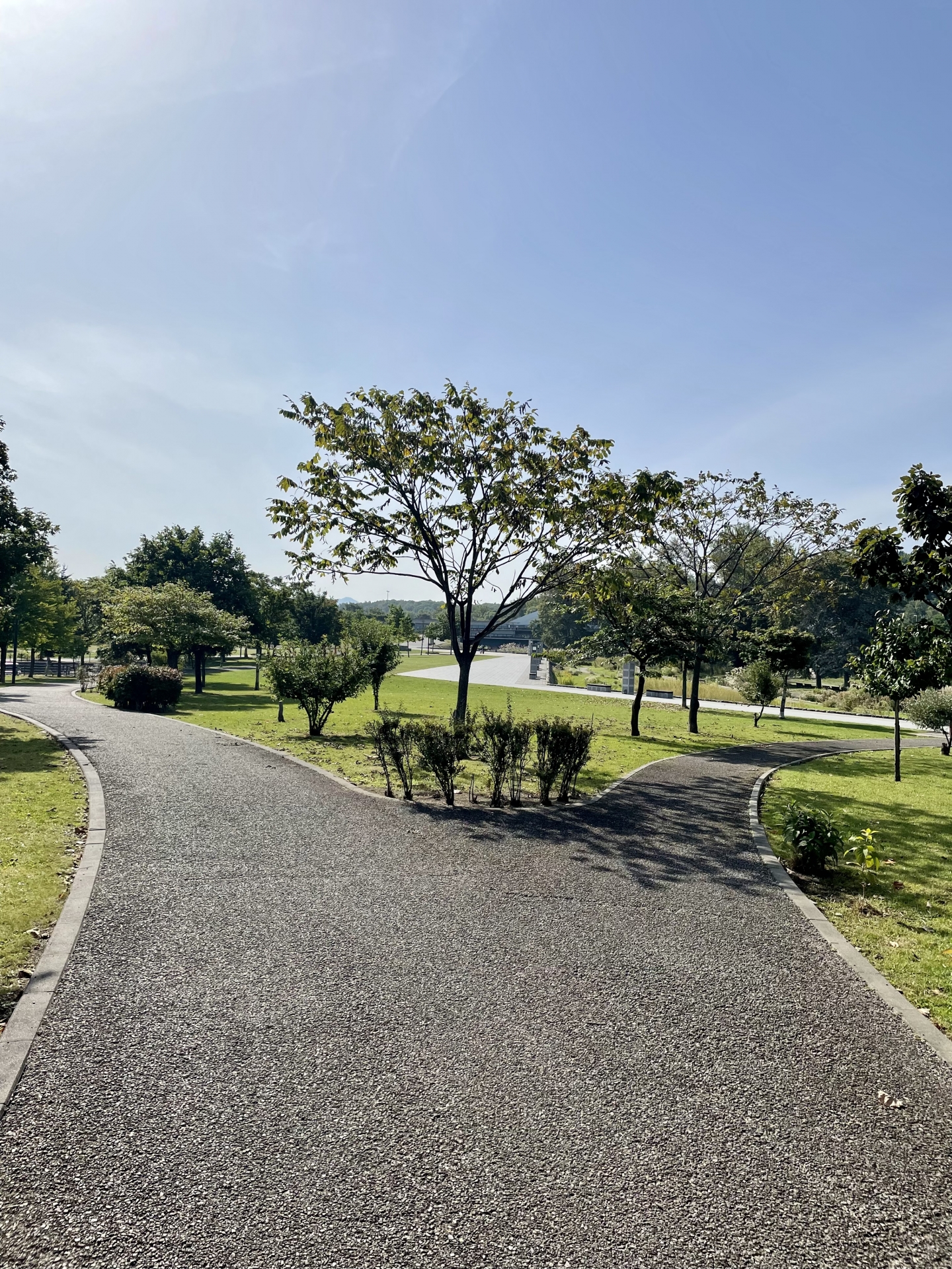 墓じまい後の選択が明確に