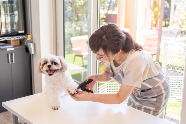 短時間・低負担トリミング