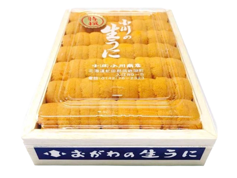 北海道漁連直送 小川生海膽