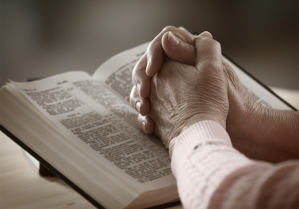 活動・取り組み