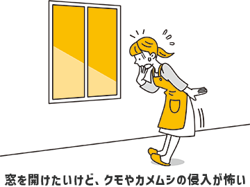 窓を開けたいけど、クモやカメムシの侵入が怖い