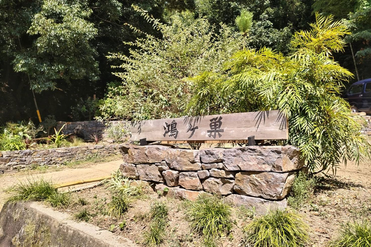コンテンツ