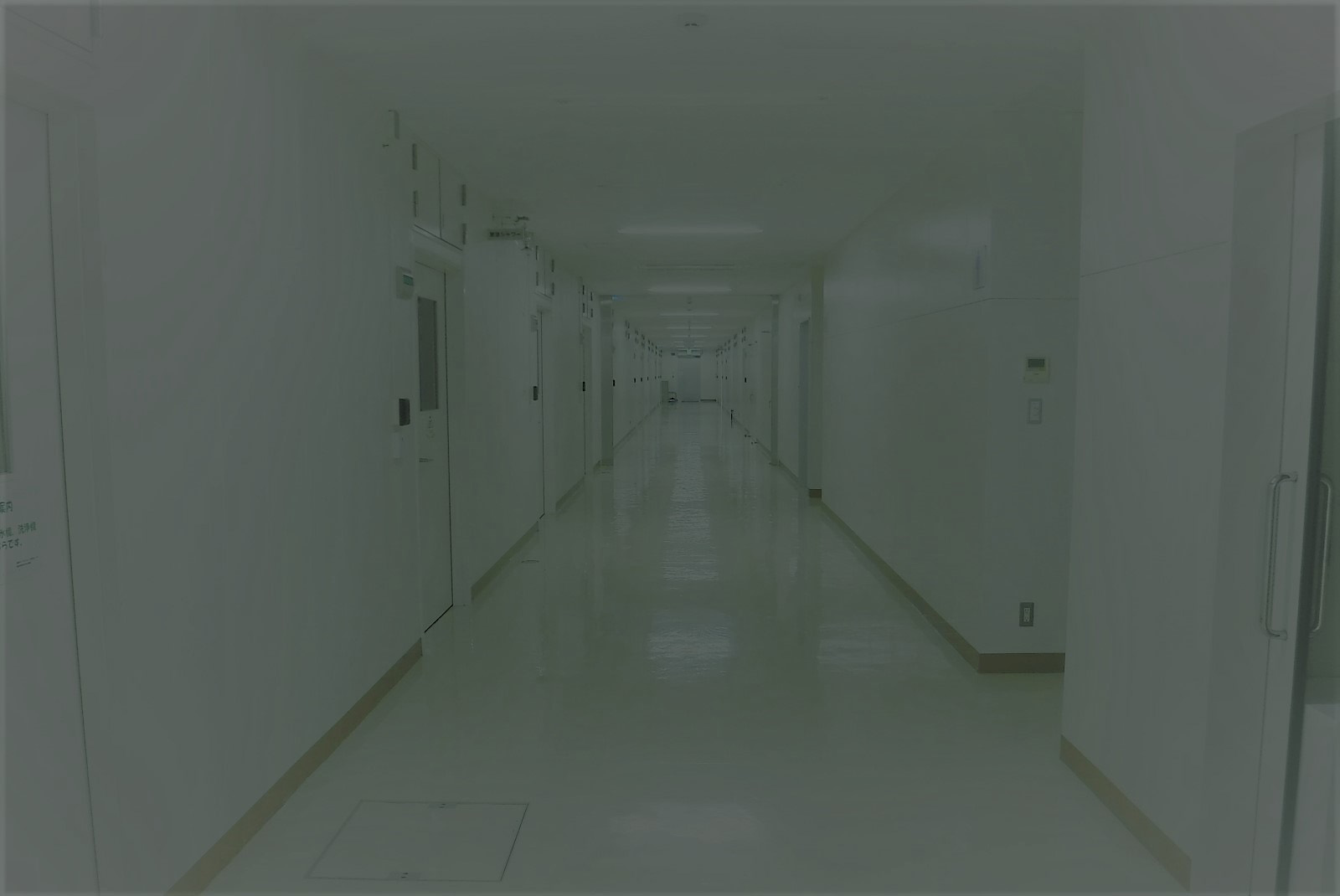 沖縄ライフサイエンス研究センター