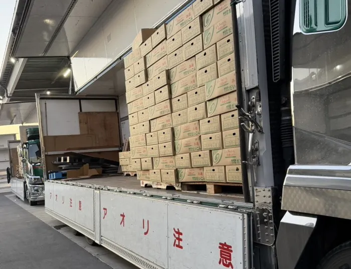 運送業一本の専門性