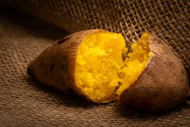 運送業一本の専門性と高い輸送品質