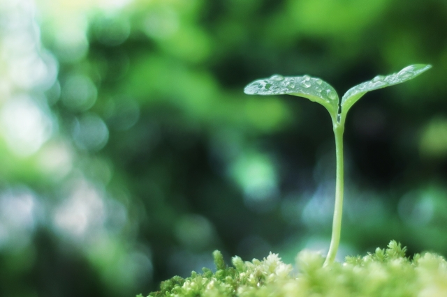 このような課題はありませんか？