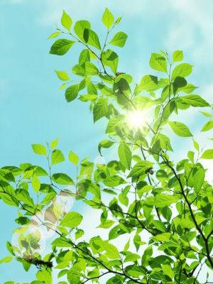 スーパーワーカー