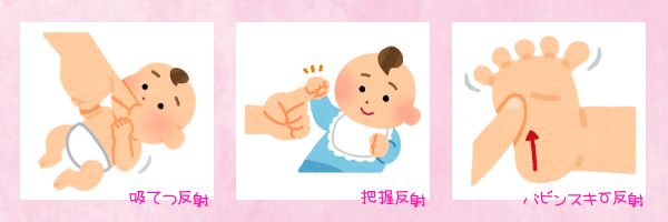 吸てつ反射/把握反射/バビンスキー反射