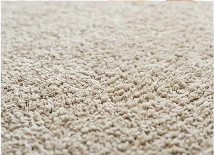 カーペット清掃のイメージ画像