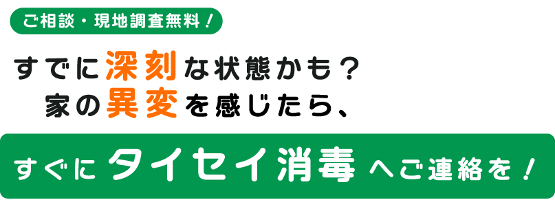 ご相談・現地調査無料！すでに深刻な状態かも？家の異変を感じたら、すぐにタイセイ消毒へご連絡を！