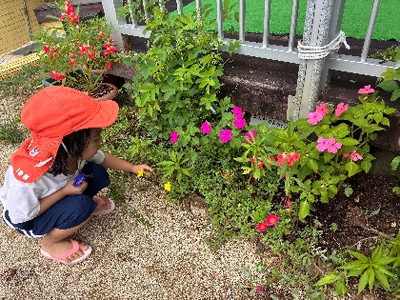 ５月の様子：梅雨ならではの遊びを楽しんでいます。