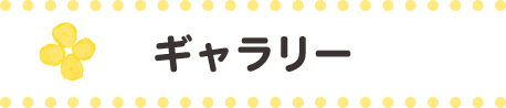 ギャラリー