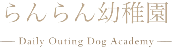 らんらん幼稚園｜少人数制で安心。病院送迎・介護も支えるペットの預かり所