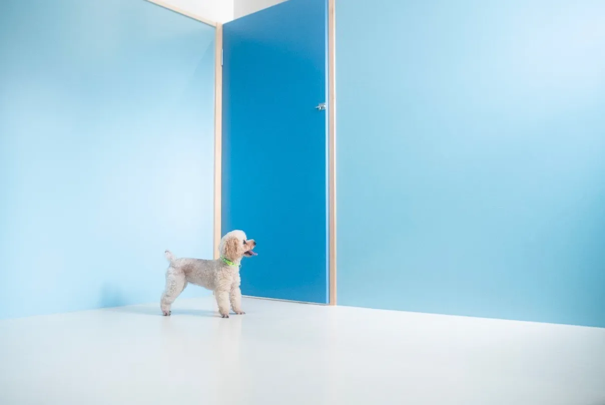 らんらん幼稚園のイメージ