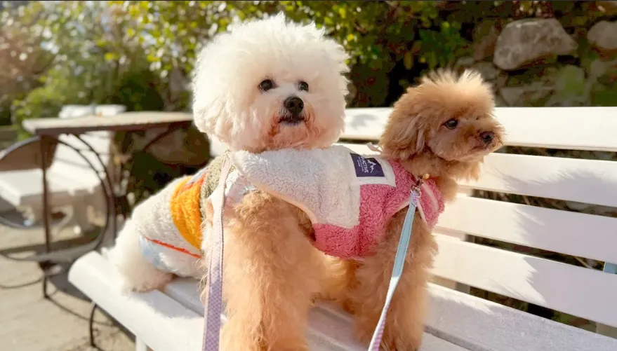 完全少人数制のイメージ