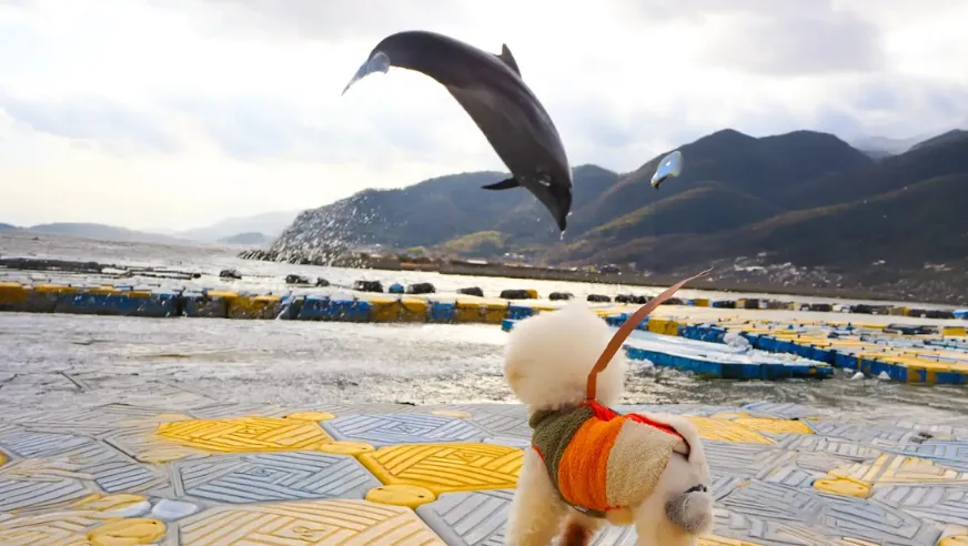 外出を含めた日中設計のイメージ