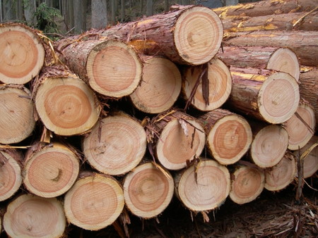 自然素材リノベーション