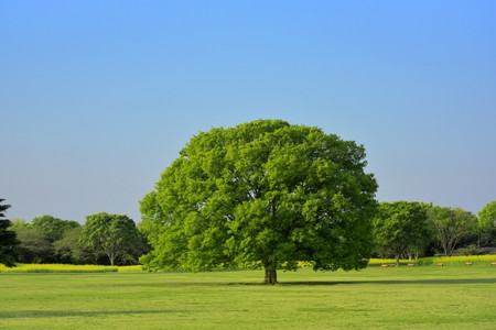 エコハウス・リノベーション