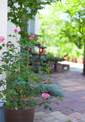 出せる答えがあります。