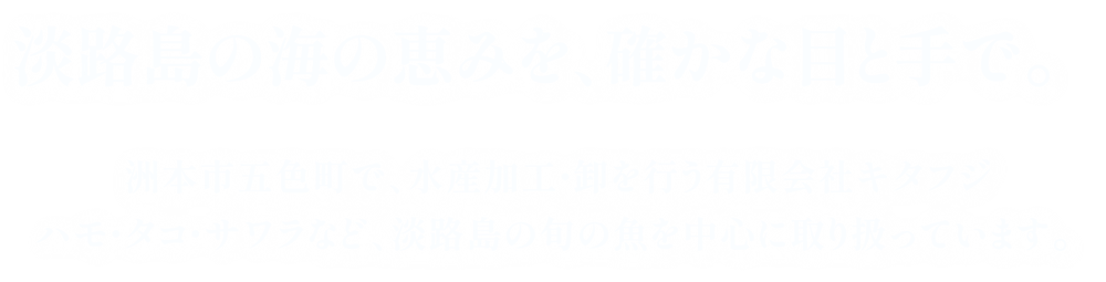 淡路島の海の恵みを、確かな目と手で。洲本市五色町で、水産加工・卸を行う有限会社キタフジ　ハモ・タコ・サワラ、タイなど、淡路島の旬の魚を中心に取り扱っています。