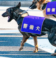 ご挨拶