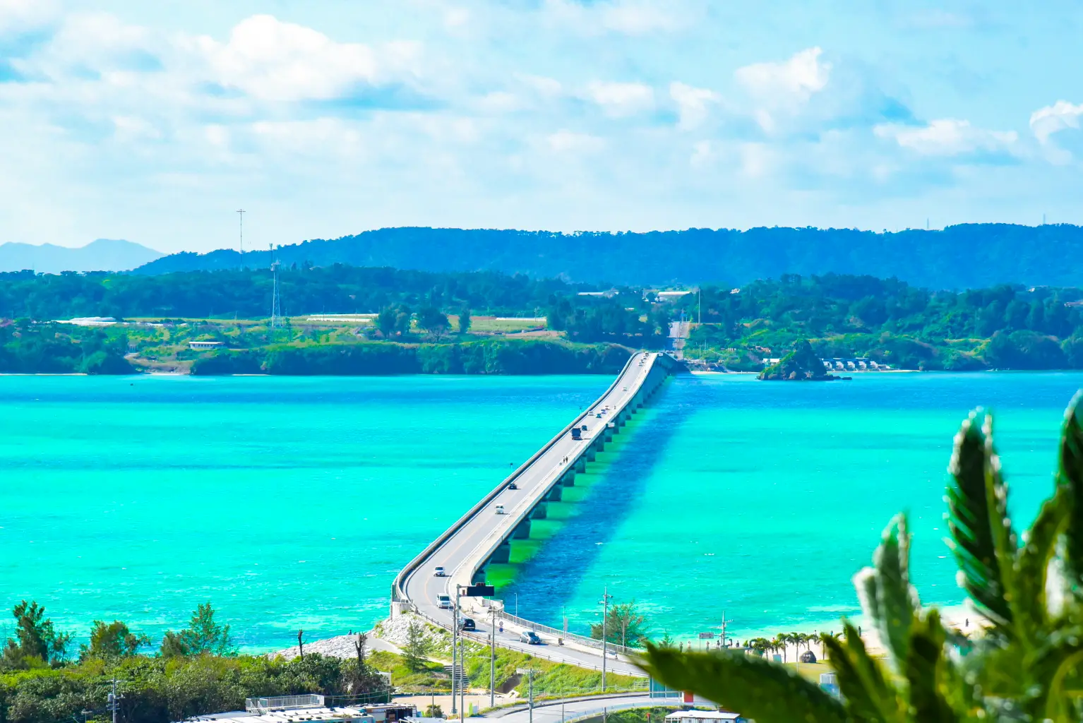 沖縄県北部エリアに根ざした対応力