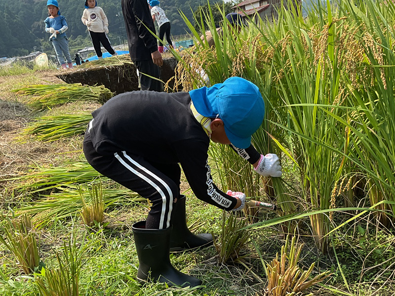 地域活動の様子3