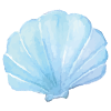 貝殻イラスト