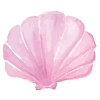 貝殻イラスト
