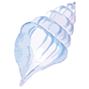 貝殻イラスト