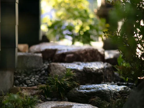 店舗グリーン装飾・内装工事