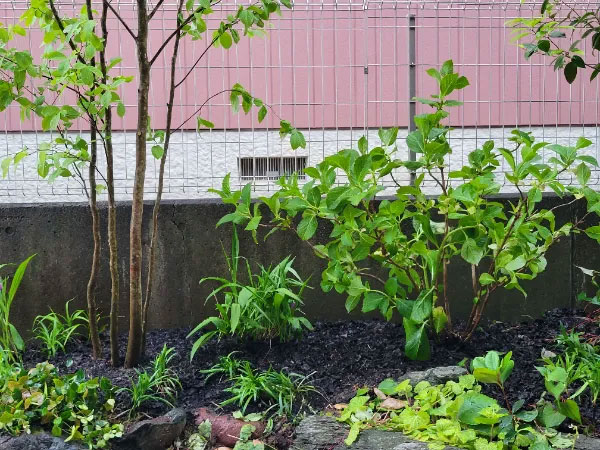 庭づくり・造園工事