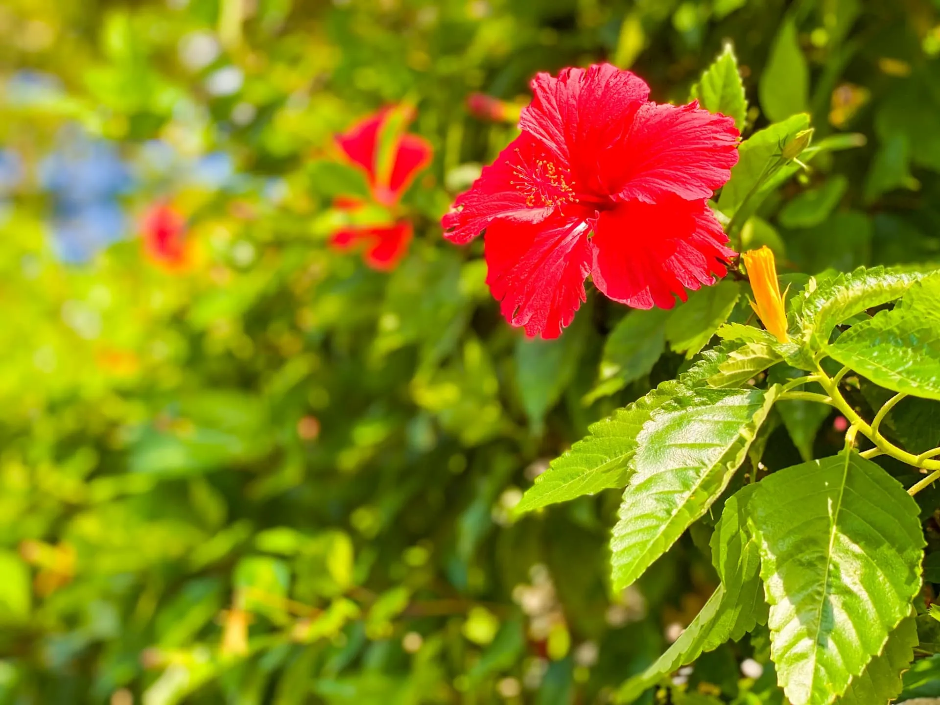 株式会社東亜うみそら不動産