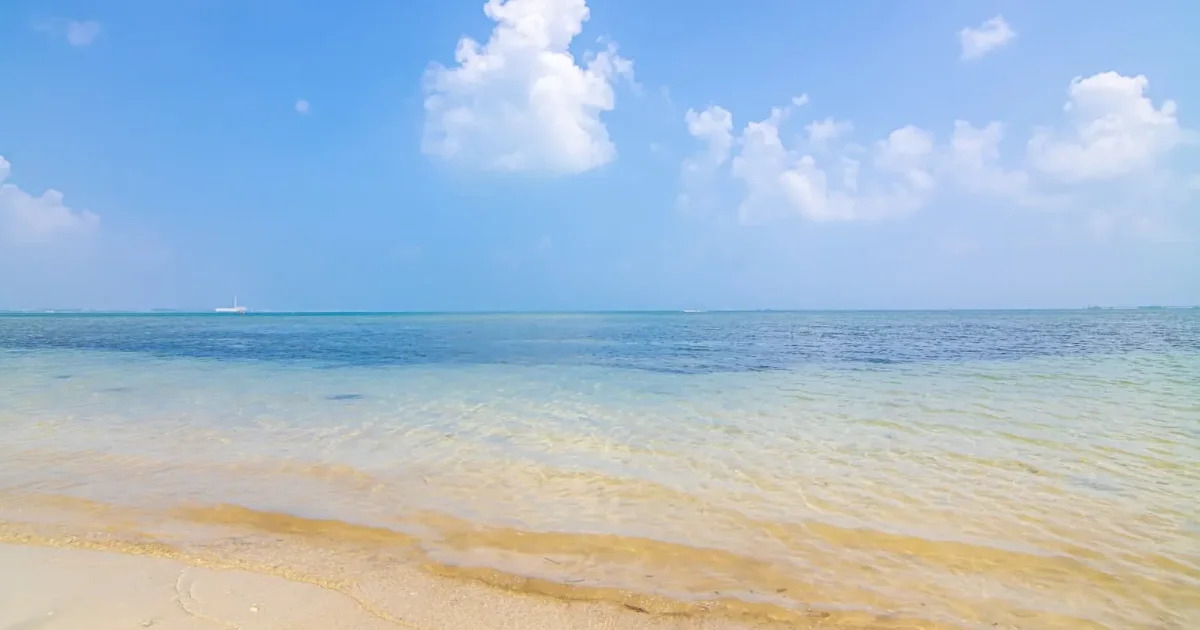 株式会社東亜うみそら不動産イメージ画像