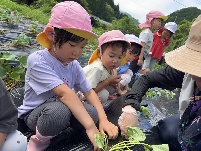 5月