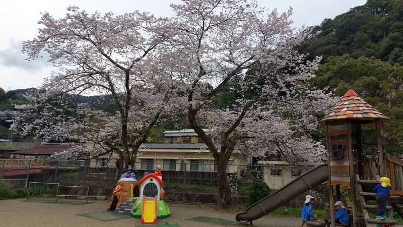 4月